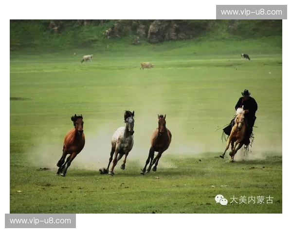 潘帕斯草原的战火：当“马塔多”遇上“堡垒”，老虎竞技与萨斯菲的宿命对决